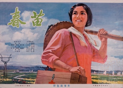 初会报名学历证书编号
